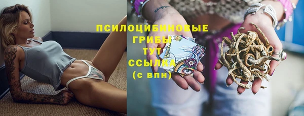 сатива Балабаново
