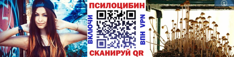 Псилоцибиновые грибы Psilocybe  Купить  Людиново 